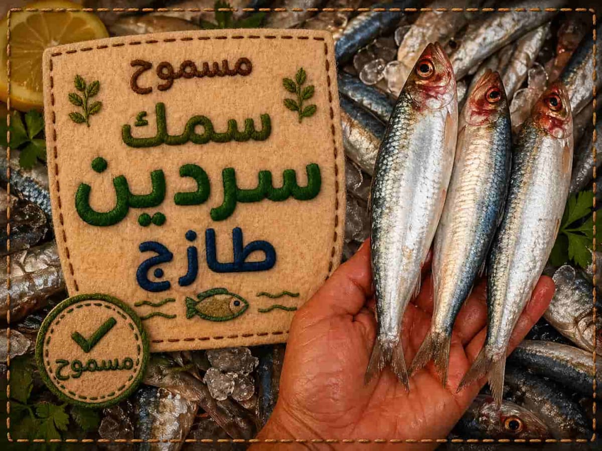 Fresh grilled sardines