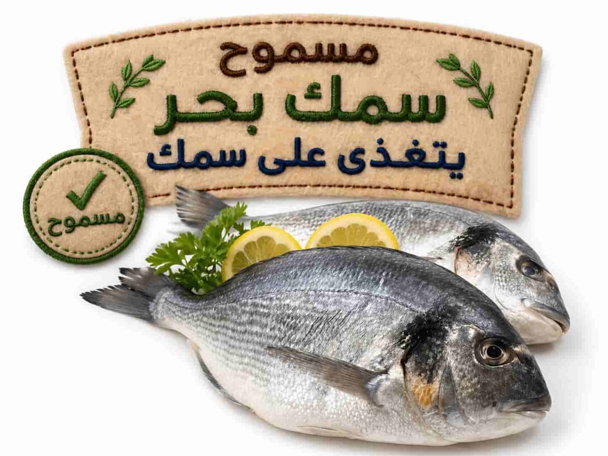 Sea fish that eat fish only