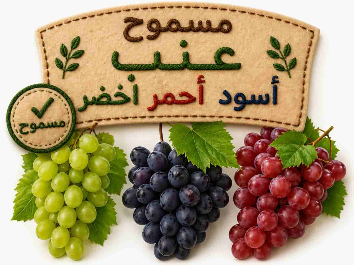 Grapes (black, red, green)
