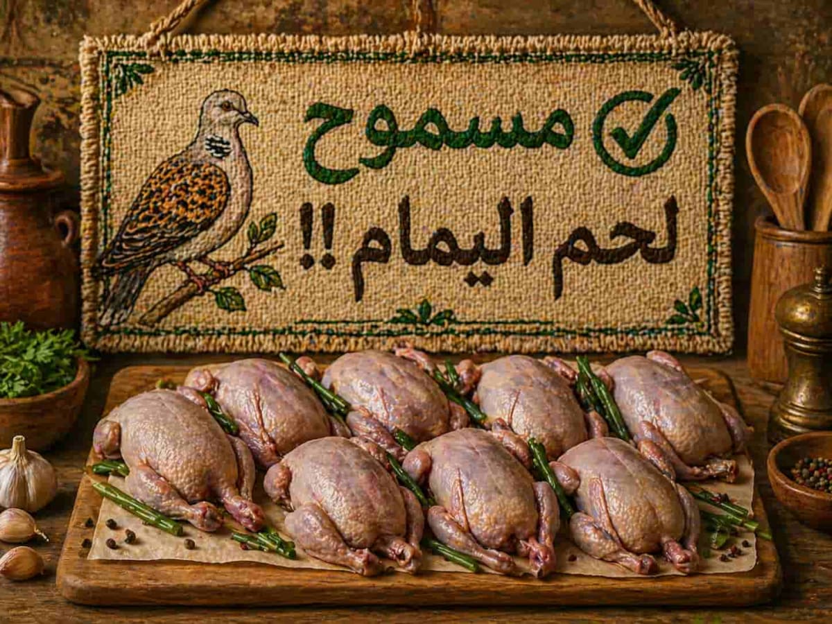 Dove / pigeon meat