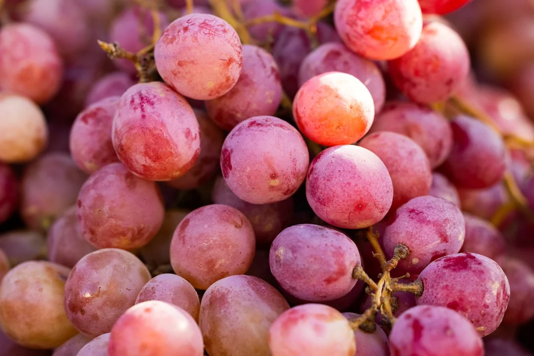 Is Natural preserves (grape, berry, cherry) allowed on the Tayibat diet? Yes — reference photo on Mytayibat